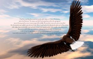 Eagle Flight Healing - Shaman Cathy Stubbs